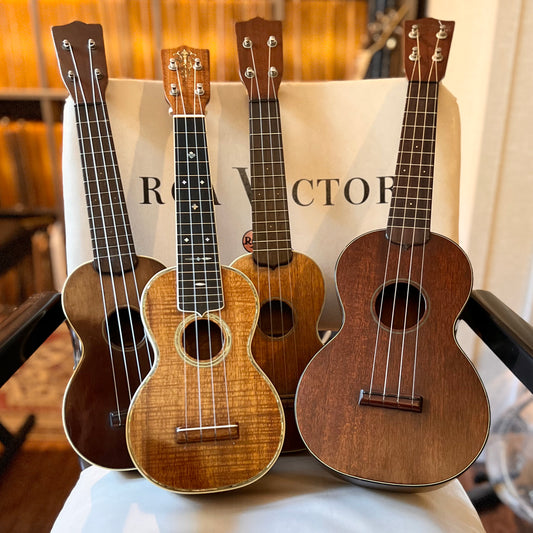 How to Pick the Perfect Ukulele!